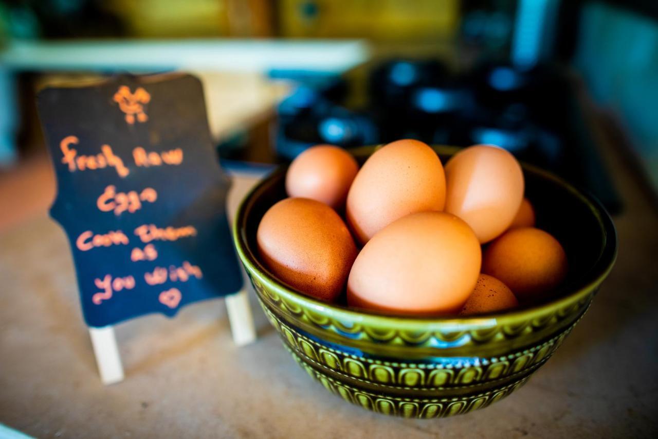 Quinta Alma - Ecological Retreat Farm Hotel อัลเจซูร์ ภายนอก รูปภาพ
