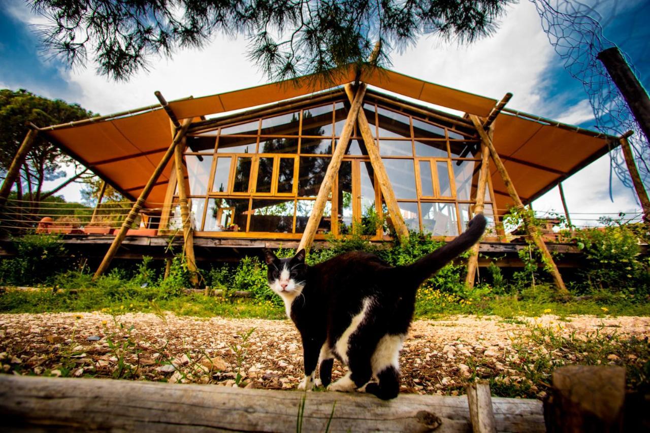 Quinta Alma - Ecological Retreat Farm Hotel อัลเจซูร์ ภายนอก รูปภาพ